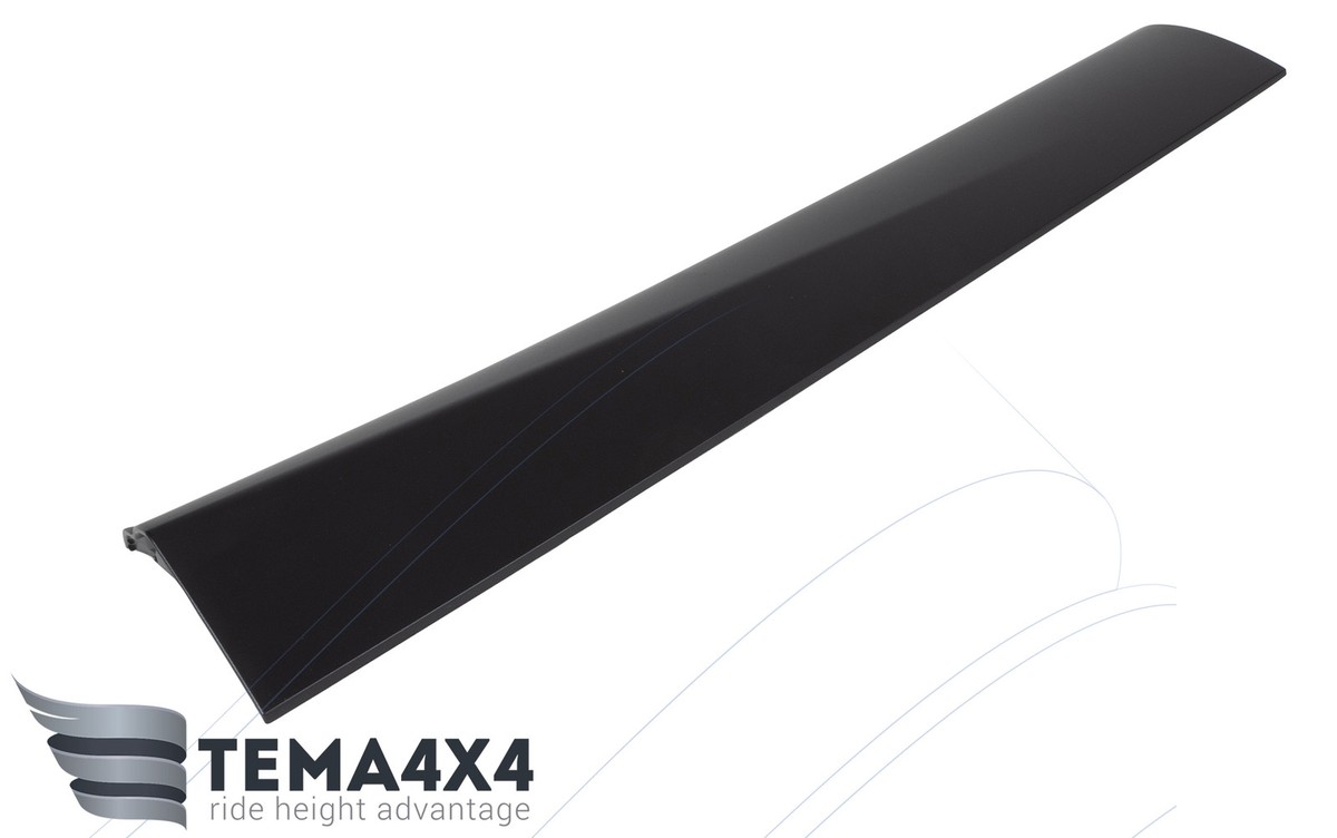 Genuine OEM Left Rear Door Molding for Mitsubishi Outlander 2022