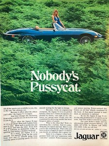Vintage 1974 Jaguar Pussycat original color ad IP017