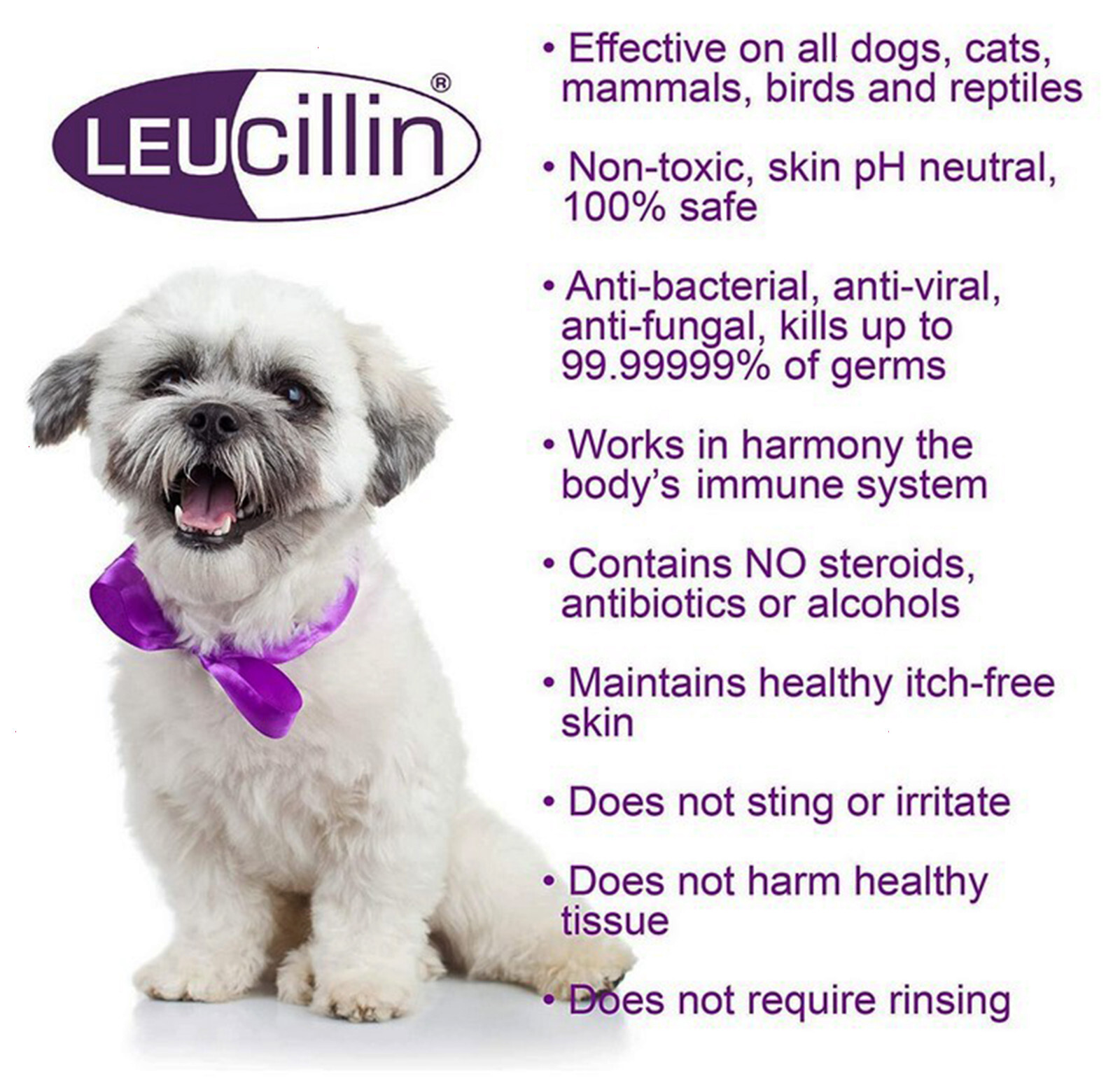 Antiseptic Antibacterial Antifungal Antiviral Ear/Eye Drops For Cats Dogs Pets 692622415364 eBay