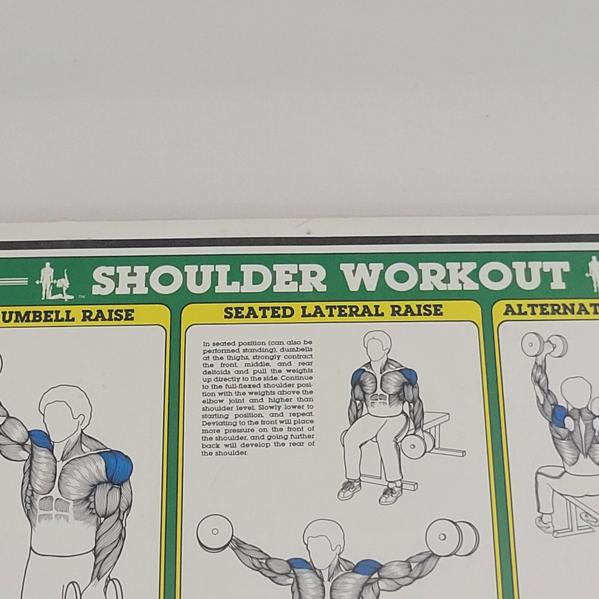 Shoulder Exercises With Dumbbells Chart