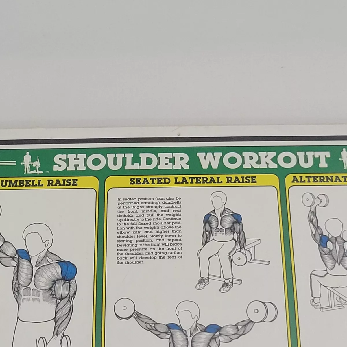 1984 Vintage Bruce Algra Shoulder Workout Fitnus Chart Series Fitness 16 x  11