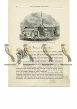 Old St Paul's, before loss of Steeple 1561, London, Book Illustration (Print)