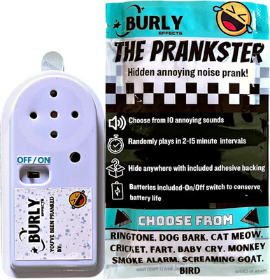 Hidden Noise Maker Gag Prank - 10 Different Sounds - Ringtone, Dog, Cat, Cricket