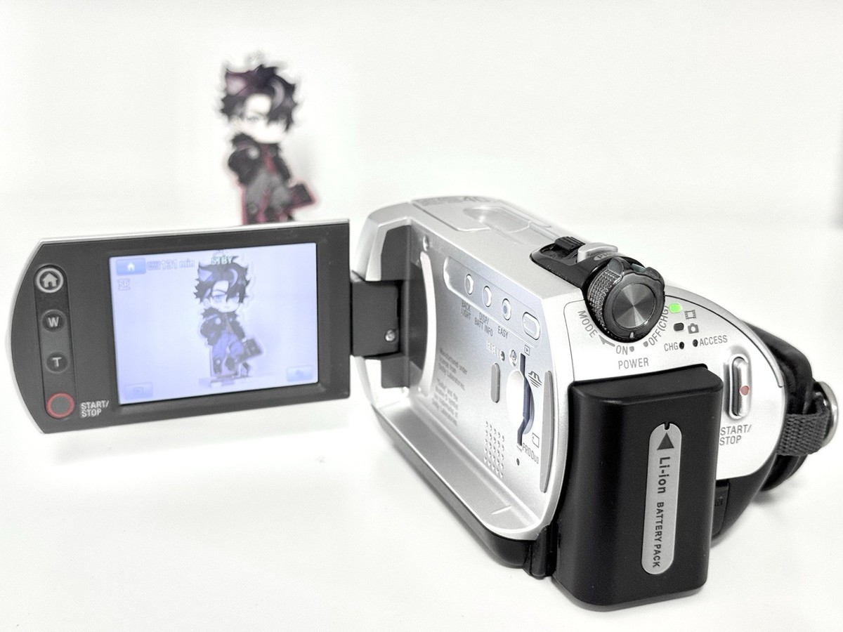 Sony Handycam DCR-SR42 ( 30gb 40x/Zoom ) Charger/Battery/Memory