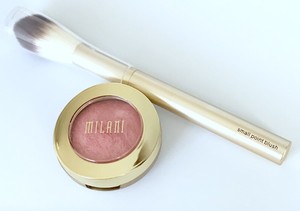 milani blush brush
