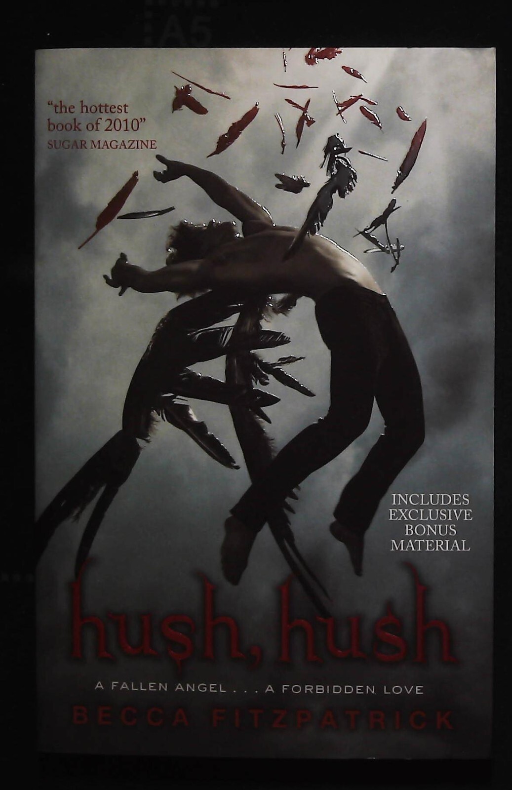 Hush Hush Becca Fitzpatrick Book New and Unread (Paperback, 2010)