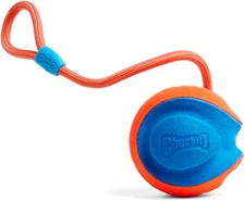 Rope Fetch Dog Toy - Ball on Rope Fetch and Tug-Of-War Toy for Dogs - Durable EV