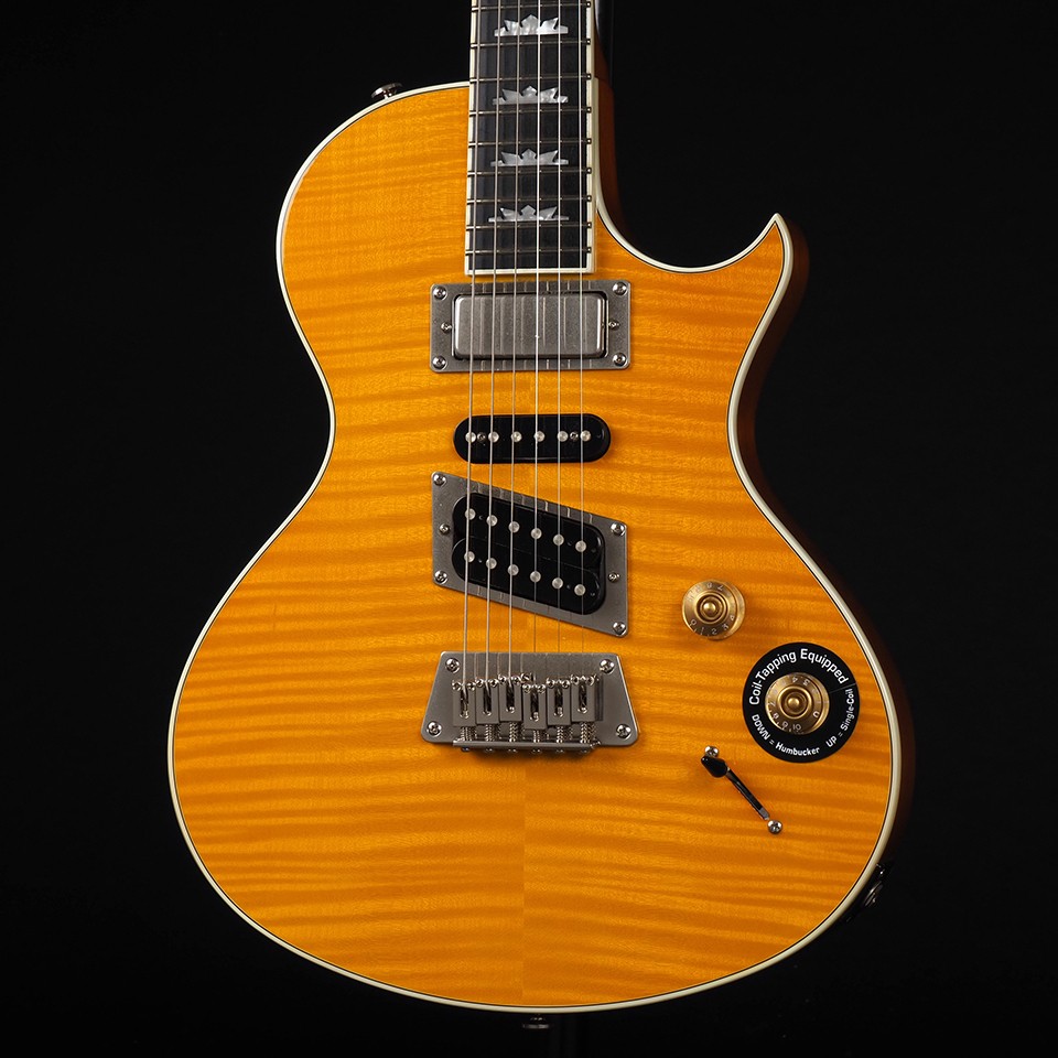 Epiphone Nighthawk Custom Reissue ~Trans Amber~ | eBay