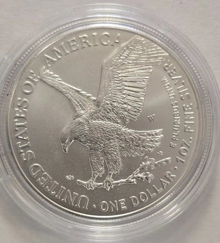 2024 W 1 ozt, 999 pure American Silver Eagle, UNCIRCULATED coin (M1W1)