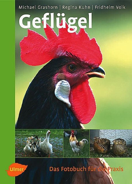 Thumbnail - Geflügel Michael Grashorn 9783800144358