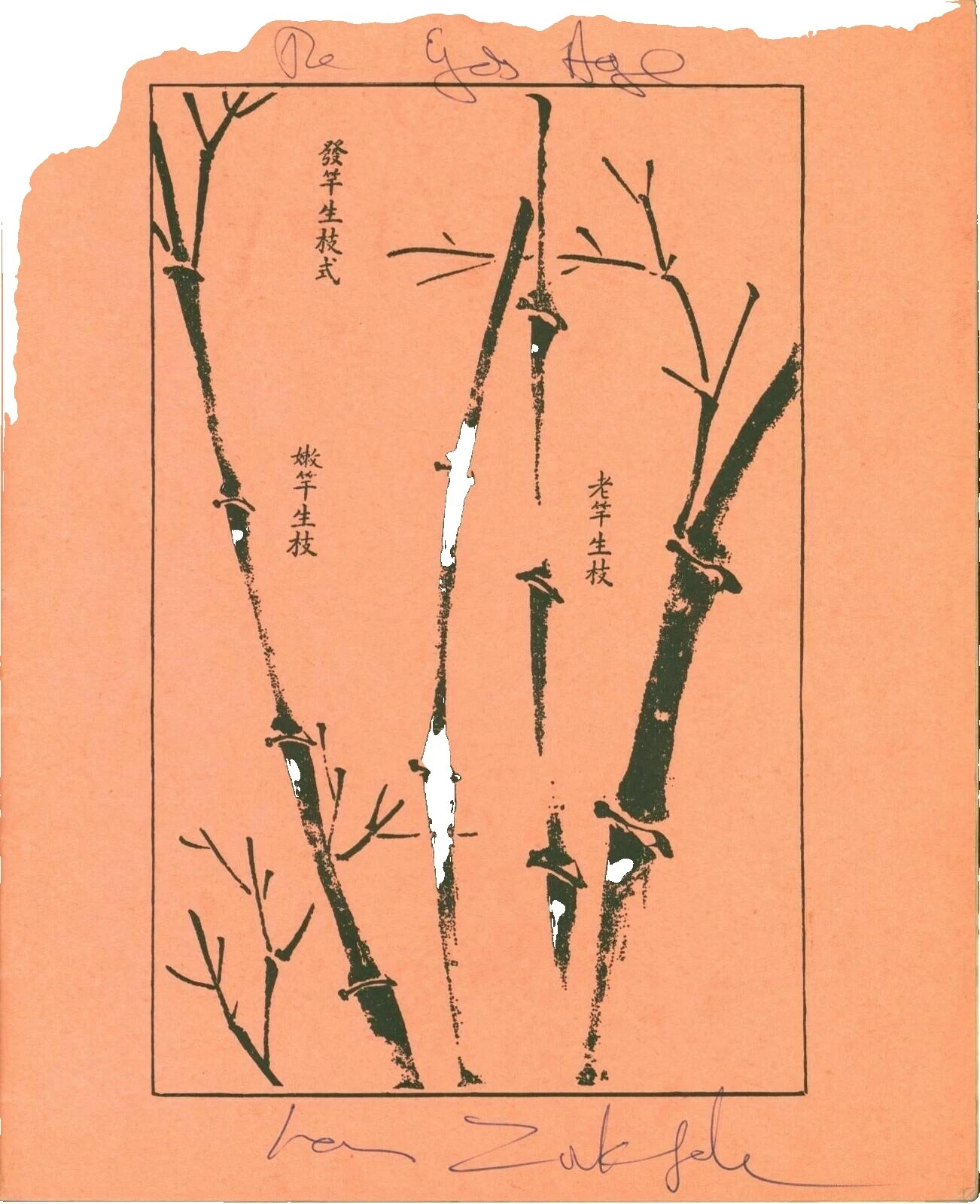 Brochure/Pamphlet North American Signed Antiquarian & Collectible Books