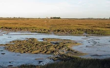 Photo 12x8 Mud, creek and saltings Osea Island A view of Steeple Creek and c2011