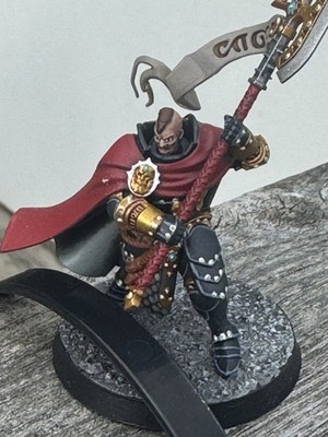 Warhammer Age of Sigmar Stormcast Eternals Praetors - gut bemalt
