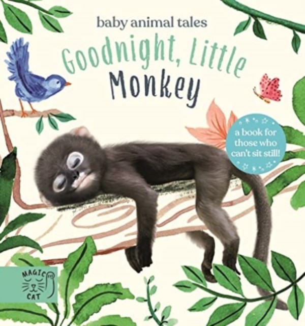 Goodnight, Little Monkey by Amanda Wood (Board book)