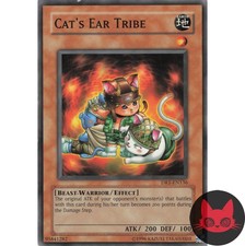 Yugioh Katzenohrstamm DR1-DE136 Common LP