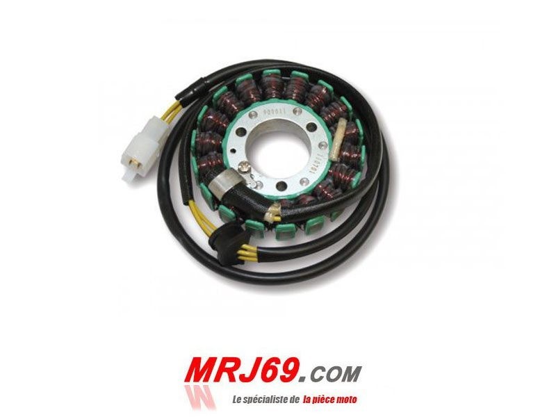 Stator alternateur ElectroSport pour moto Suzuki GSE 500 des annees 2001 a 2007