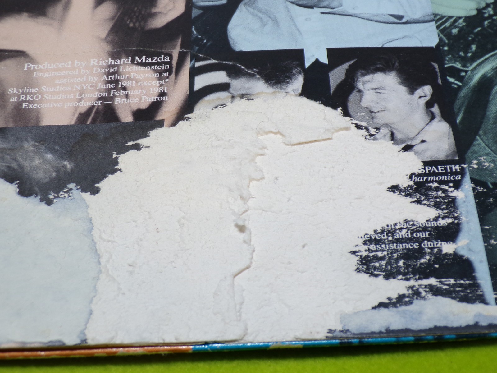 Fleshtones, Romas Gods Vinyl Record. Jacket is Poor, Vinyl is VG. DISCOUNTED