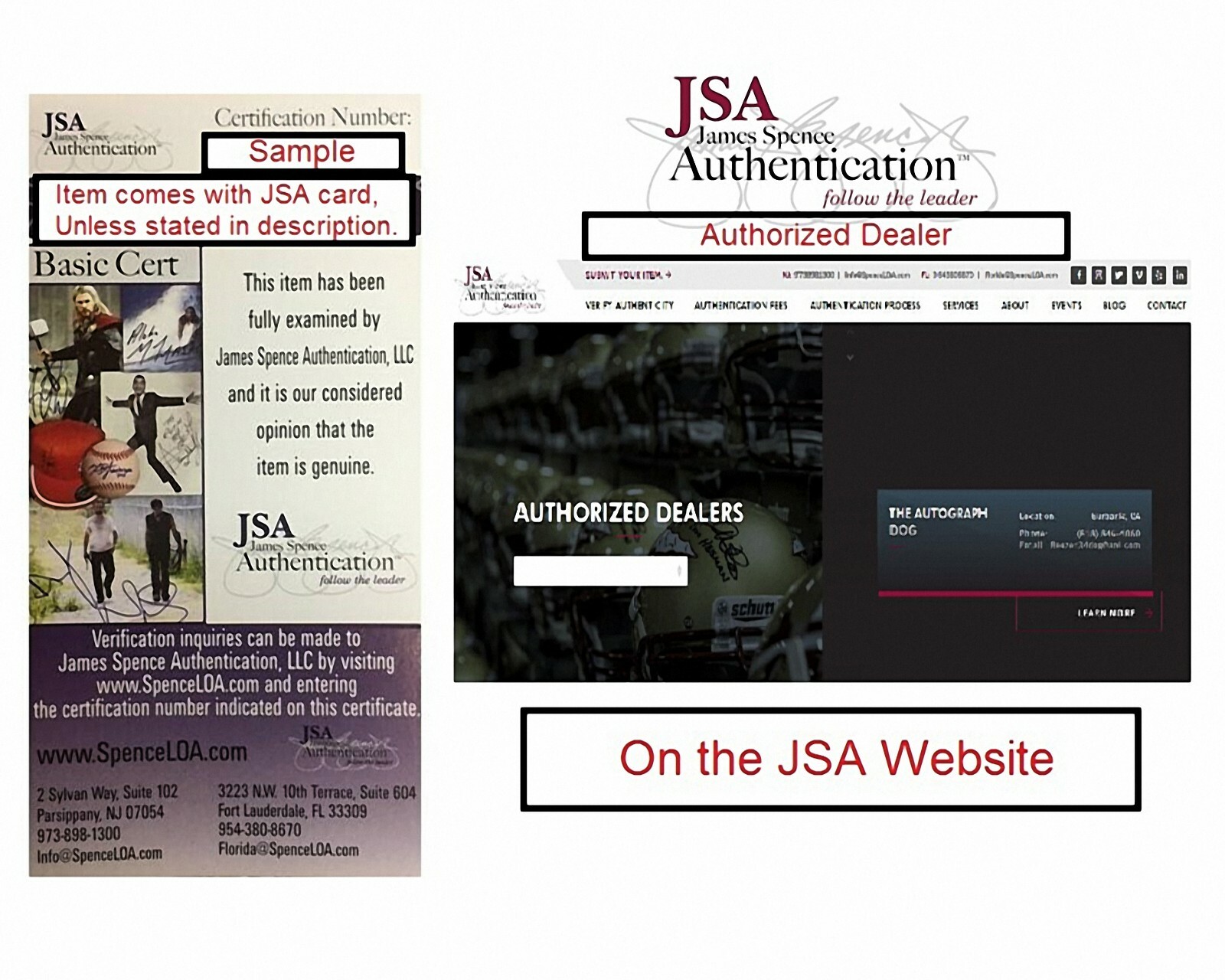 THE UMBRELLA ACADEMY Cast x6 HandSigned "Aidan Gallagher" 11x14 Photo (JSA COA) eBay