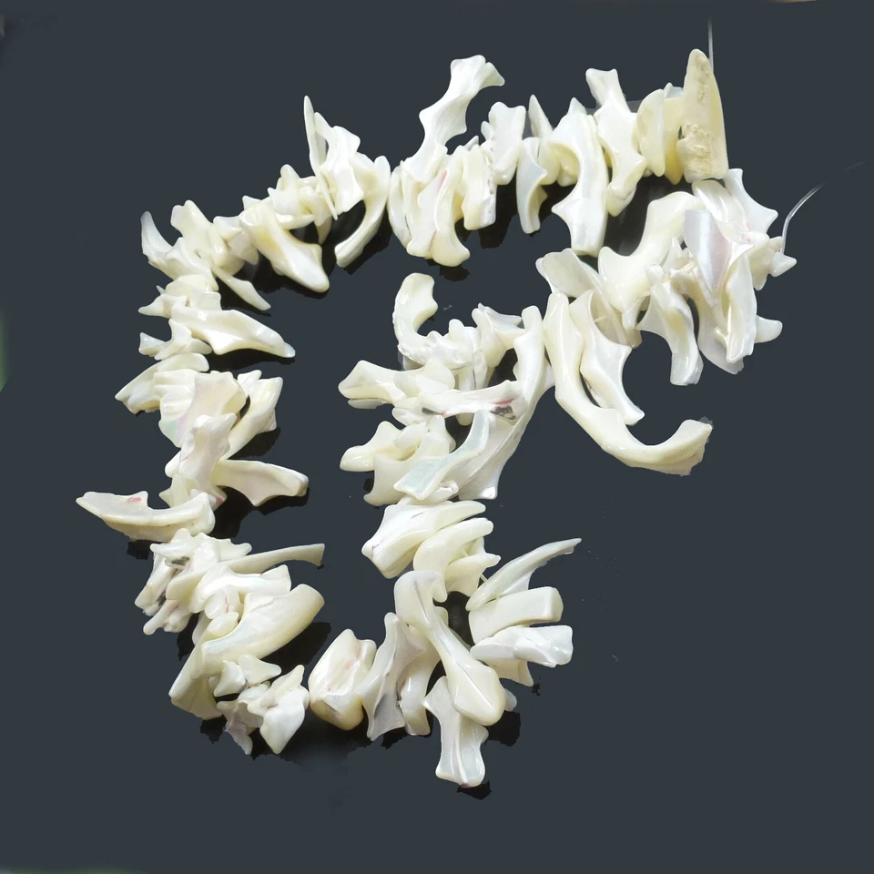 Perlen aus Muscheln Perlmutt 15-45 mm ca. 85 Stück Spacer nenad-design R047 - Bild 3 von 4