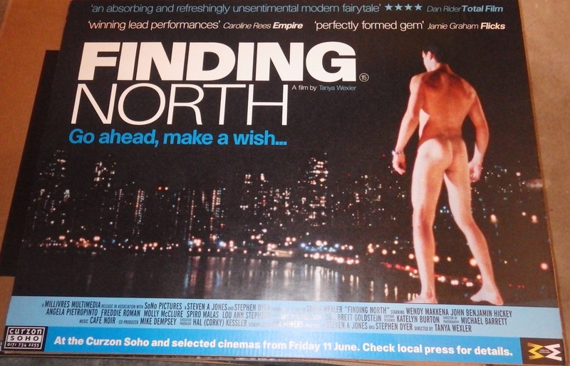 Finding North 1998 30x40" UK Quad Wendy Makkena Kim Powers Movie Poster Original