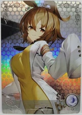 Uma Musume Agnes Tachyon Foil Doujin Goddess Story Collection Trading Card