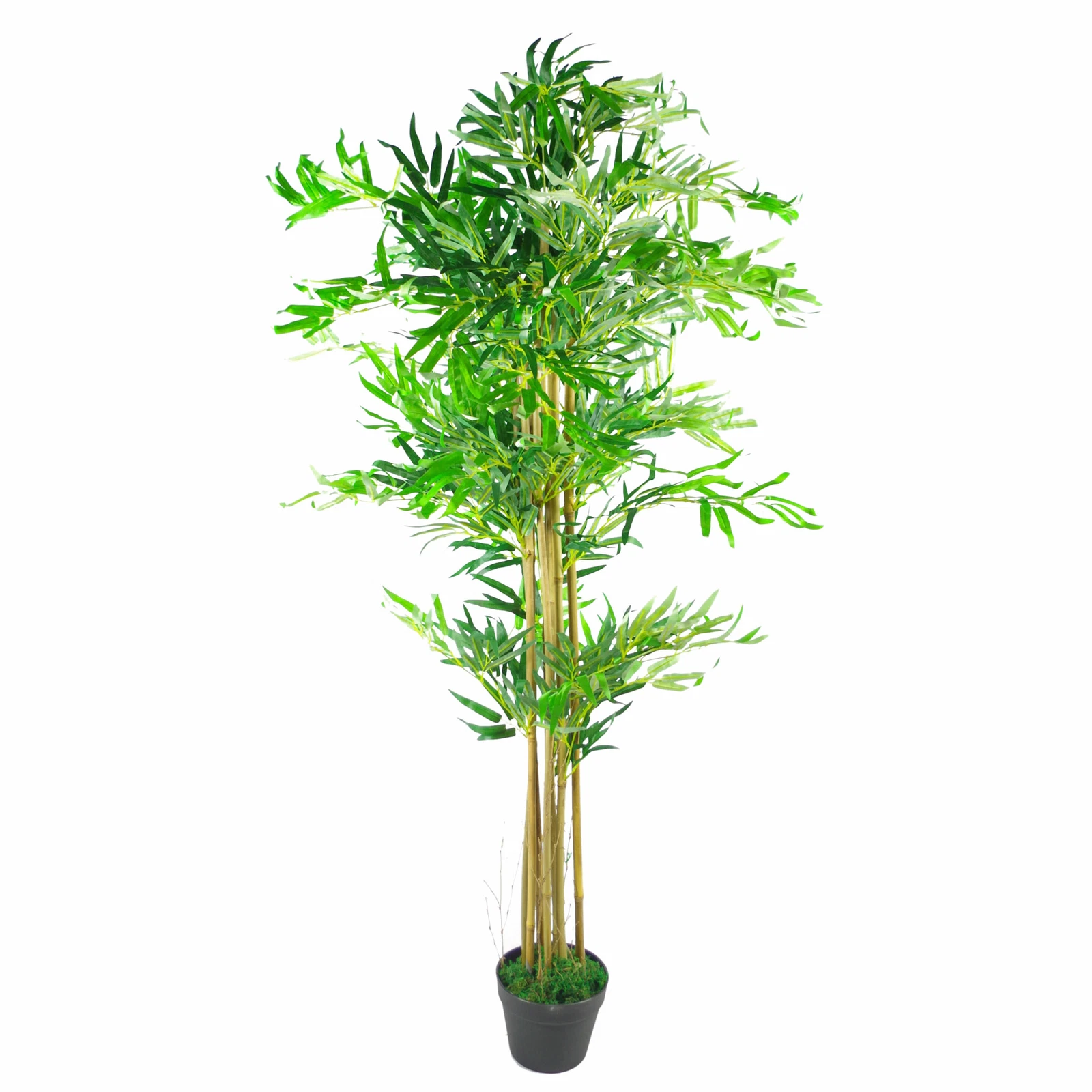 150cm Bamboo - 7262