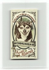 2019 Topps Allen & Ginter #CC-16 Chihuahua Collectible Canines Minis
