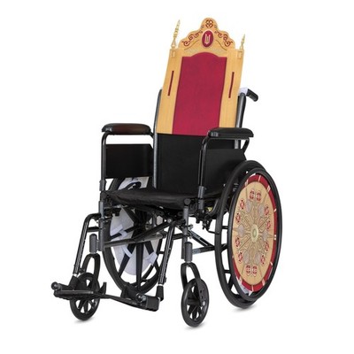 Wicked Nessa Rose Wheelchair Cover, Official Wicked Movie Adaptive Wheelchair...