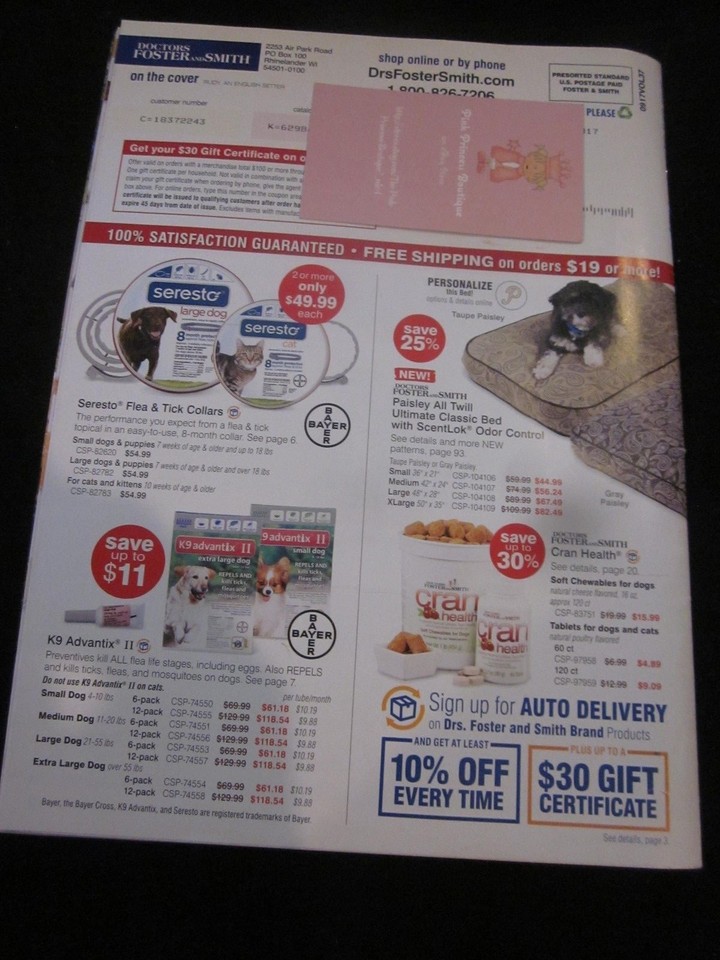 Doctors Foster and Smith Catalog Keep Her Active And Healthily This