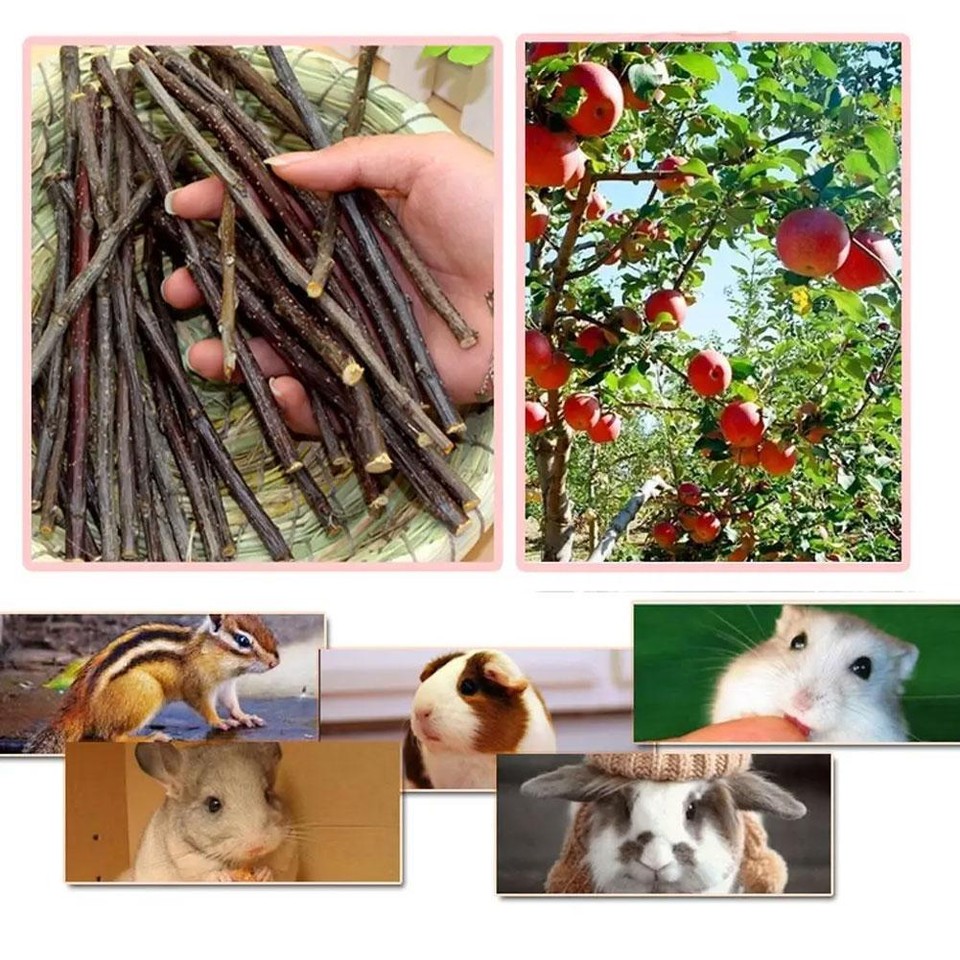 🎄50g Pets Chew Sticks Guinea Pig Toy Apple Wood Rabbit Twigs for Small
