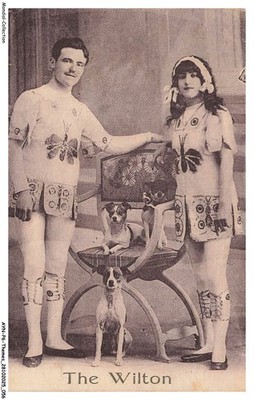 AYNP6-0464-CIRQUE - Circus - The Wilton - Jack Russel