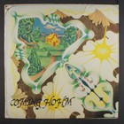 Rosemary Haddad: Coming Hohm Not On Label 12" LP 33 RPM