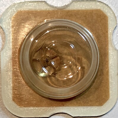Pendentif d'ours spirituel - France