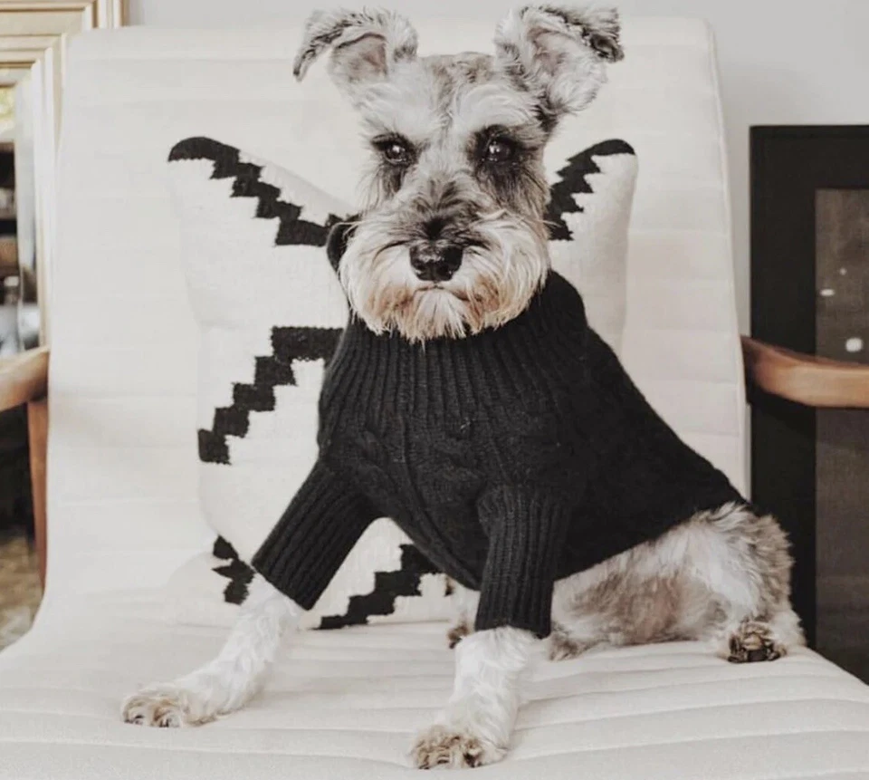 NEW! Ruby Rufus Lupo Dog Cashmere Sweater, Small - Image 2 of 3