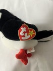 “PUFFER” TY BEANIE BABY PUFFIN BIRD, NO ERROR, PE PELLETS - EXCELLENT CONDITION! — photo 6