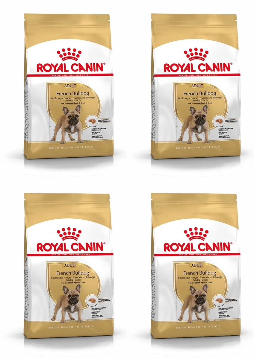 Royal canin breed health nutrition clearance bulldog adult dry dog food