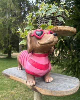 Dackel mit Rosa Herzförmiger Sonnenbrille und Rosa Gestreiftem Outfit Gartendeko