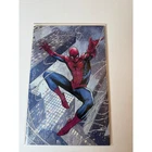 ULTIMATE SPIDER-MAN #1 3RD PRINT 1:25 RATIO VARIANT 2024 CHECCHETTO NM!