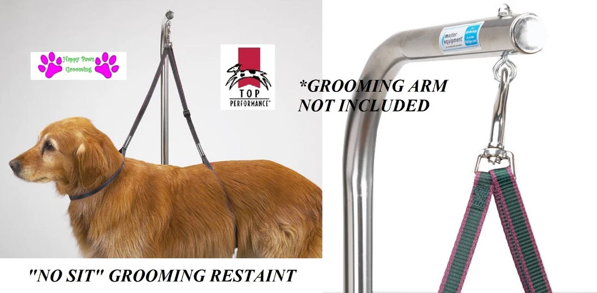 Dog Stand Adjustable Dog Grooming Support Stand Keeps Dogs