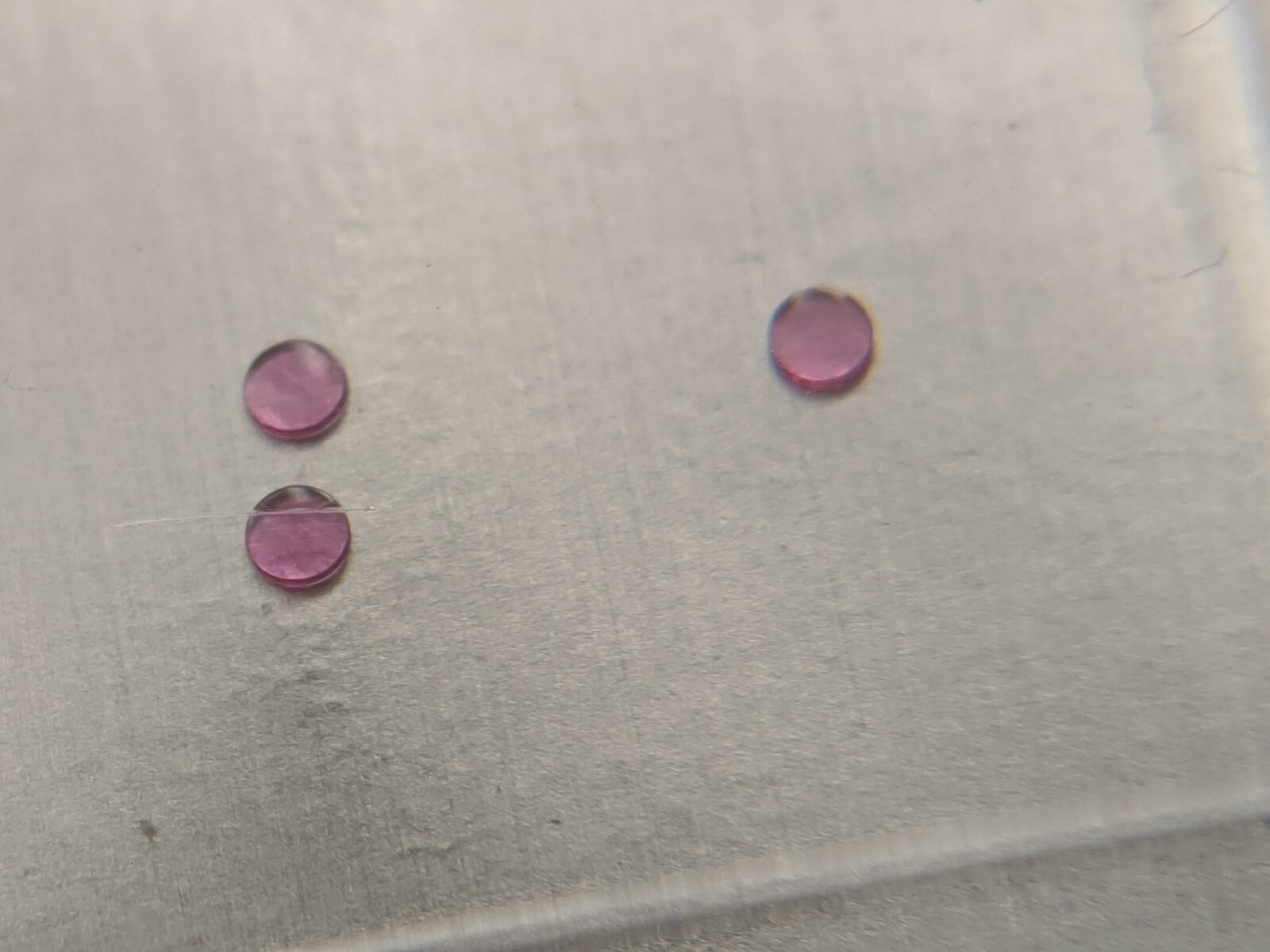 Rolex 1530 3035 3135 4030 4130 950193 Cap Jewel For Balance Upper, New