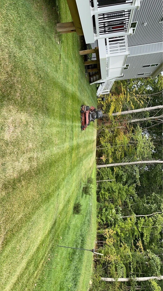 Cortacésped Foto 4 de 4