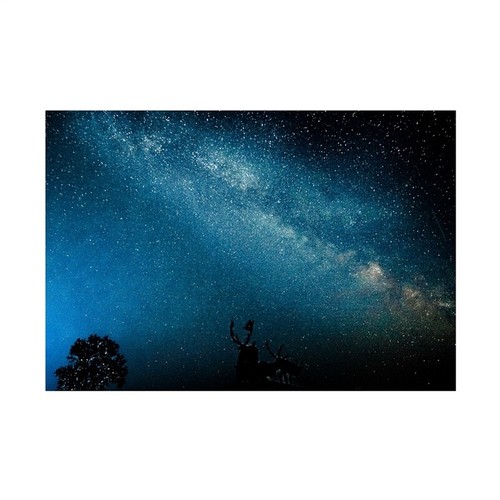 Colorful Nebula Outerspace Backdrop Cloth Photography Background Decoration - Foto 52 di 164