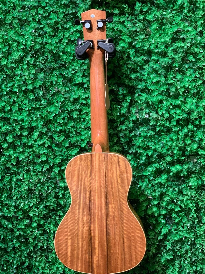 Kamehameha Ukulele KMC-23S Gloss Concert Solid Top Spruce wood & Mango wood - Image 2 of 4