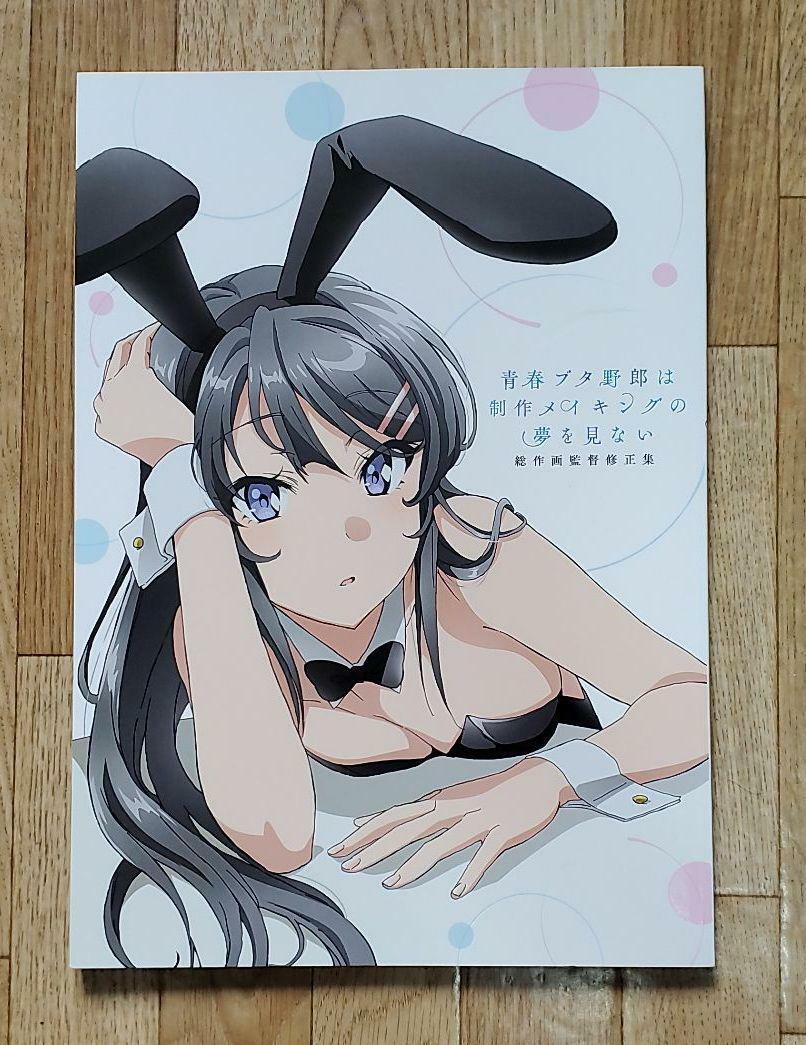 Rascal Does Not Dream of Bunny Girl Senpai