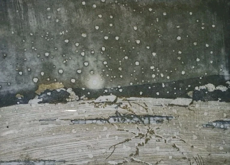 HORST JANSSEN Original Radierung handsigniert Nr. 66/100 Rahmen Schneelandschaft - Bild 4 von 4