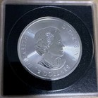 1/2 Oz Silver Canadian Polar Bear UNC (2018) .9999 Silver, Tested For Purity! — photo 2