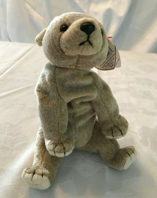 1999 almond beanie baby value