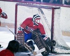 NHL Montreal Canadiens Goalie Ken Dryden Game Action Color 8 X 10 Photo Picture