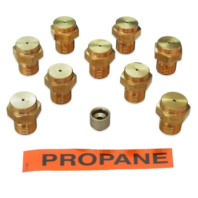 BLUE SEAL CF2 COBRA FRITTEUSE GAS UMBAUSATZ NATURAL NAT AUF LPG LP PROPAN