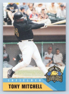 Tony Mitchell 2002 MultiAd Sioux Falls Canaries